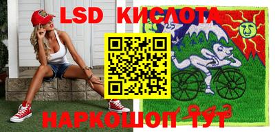 гашик Кандалакша