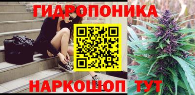 гашик Кандалакша